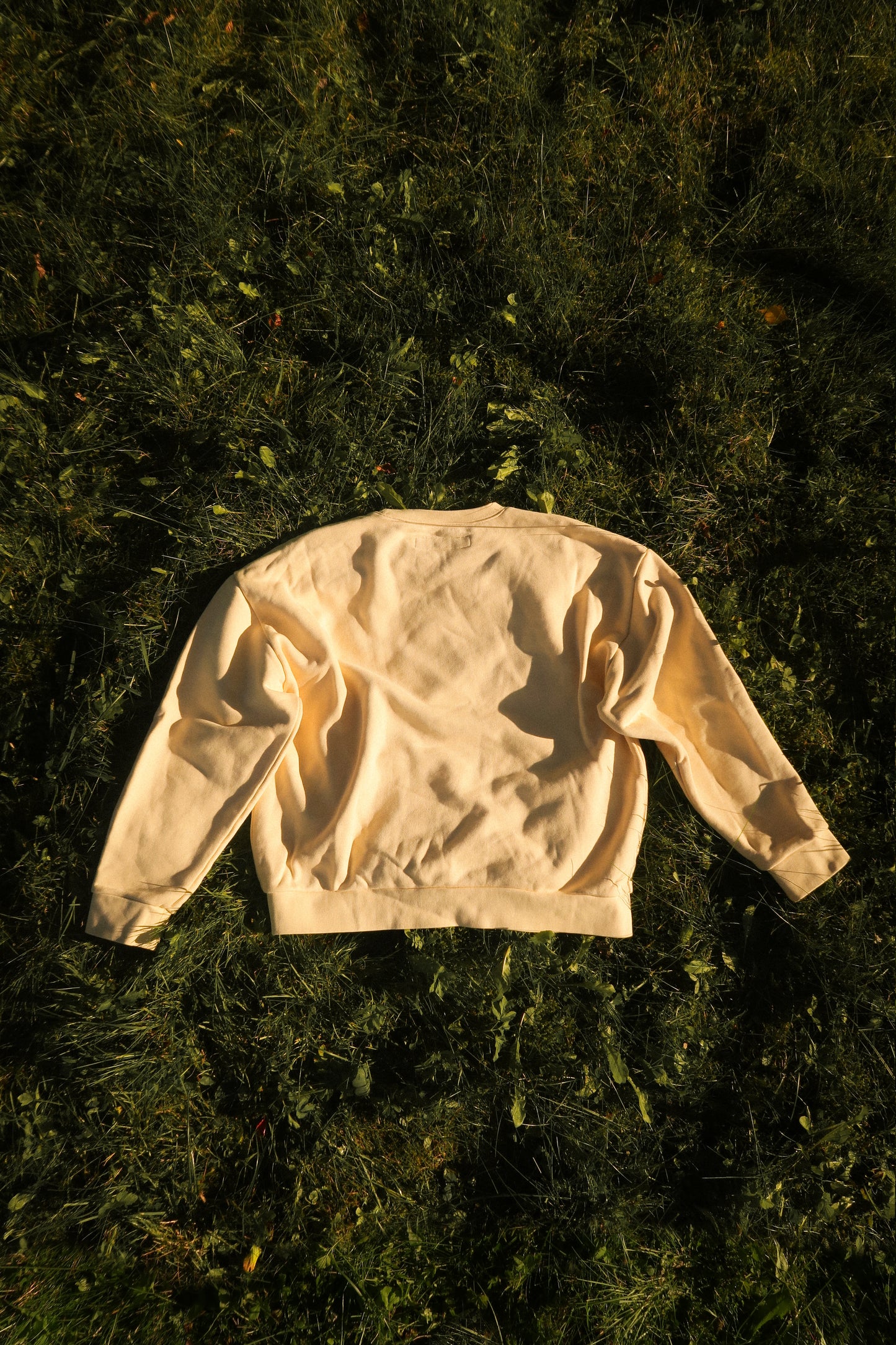 Hotel Trunk Slogan Crewneck